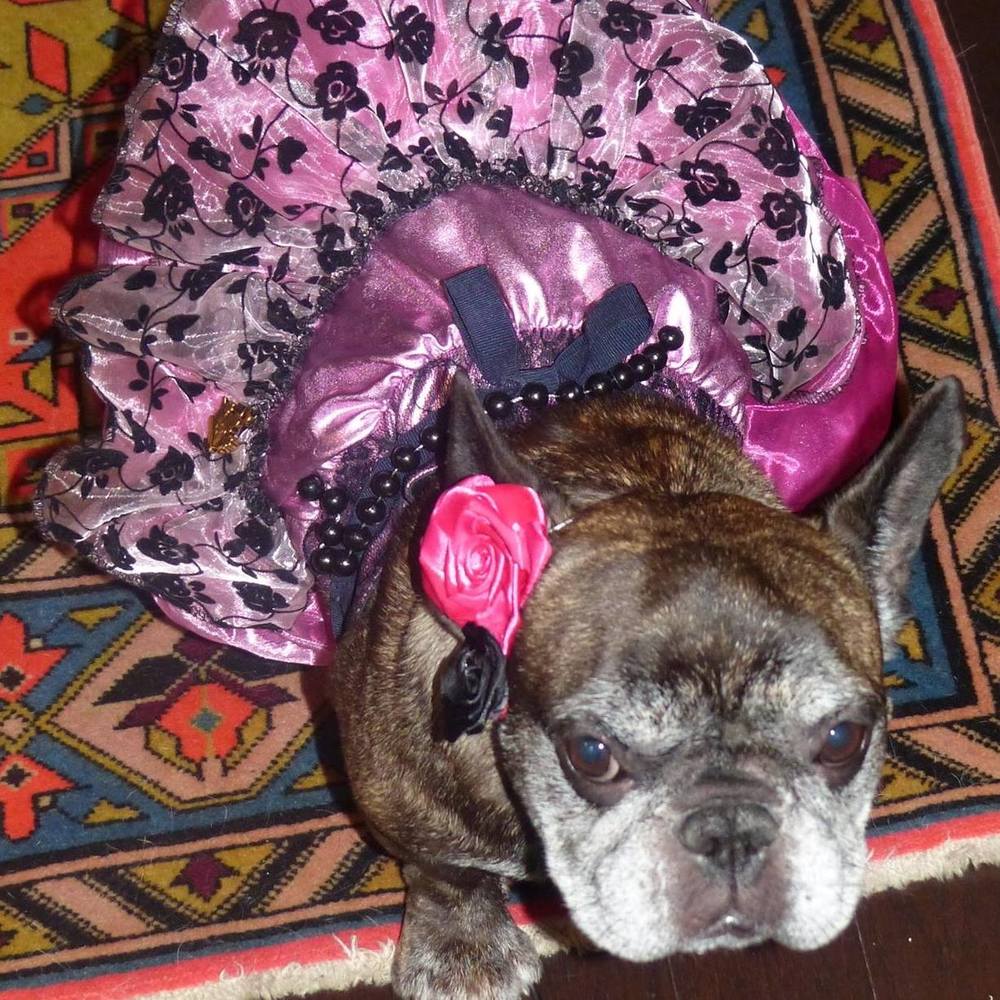 Meet your Posher, Oksana